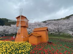 -苏州上方山国家森林公园