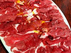 三角肉-鞍山戰