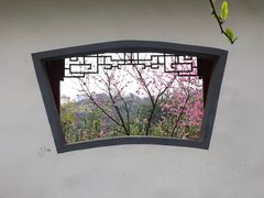 -重庆彩云湖湿地公园