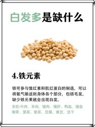 -Bollins波林丝•专研护发中心