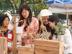 -四季酒店下午茶