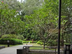 -南宁荔园维景国际酒店·荔园中餐厅