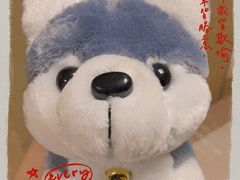 -Husky Go! 哈士奇体验馆·宠物咖啡厅狗咖