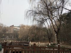-西安市长乐公园