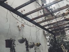 -边渡咖啡烘焙店(昙华林店)