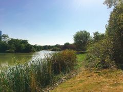 -艾溪湖湿地公园