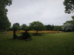 -华东政法大学(松江校区)