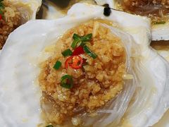 -小海丁