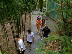 -藏龙百瀑风景区