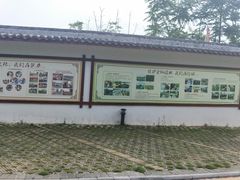 -会仙湿地