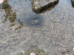 -长谷洞天