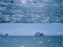 -大理洱海