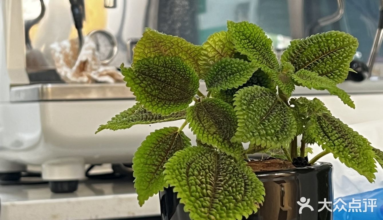 广州天河|小区内舒适咖啡屋☕