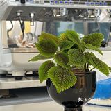 广州天河|小区内舒适咖啡屋☕