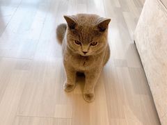 -东方雅典水疗美食汇(金海岸大厦店)