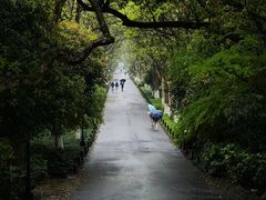 -王氏烧饼无矾油条
