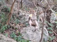 -黔灵山公园