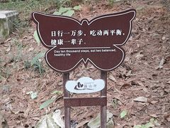 -铁山坪森林公园