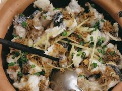砂锅焗东江鱼-围龙屋客家食府(福田店)