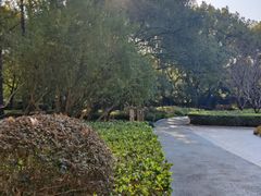 -徐家汇源景区-衡山公园