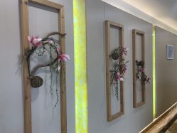 -安琪朵朵独栋花园月子中心