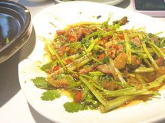 -蜀龙阁· 龍头水煮鱼(天坛店)