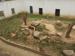 -武汉紫薇都市田园