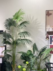 -LEILEI NAIL蕾蕾美甲美睫