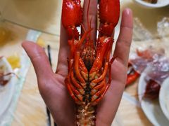 -怪怪龙虾·澳洲蓝龙王·深夜食堂(惊驾路店)