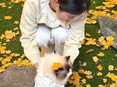 -龙湖杭州滨江天街