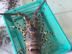 -拉威海鲜市场