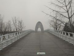 -大兴滨河森林公园