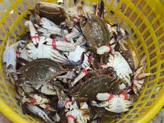 -仙螺岛海鲜自助餐厅(总店)