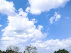 -侯臣咖啡文化村