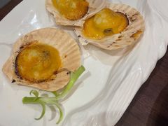 -黑松白鹿(金融街店)