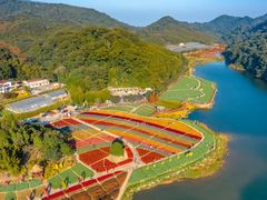 -广州市石门国家森林公园