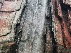 -太阳部落