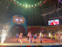 -俄罗斯国家大马戏团