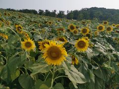 -苏州吴中太湖旅游区