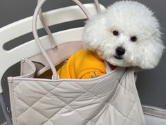 -关爱宠物医院·猫科中心·消化科(滨湖万达分院)