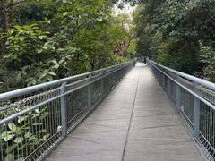 -佛山华盖山公园