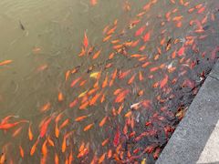 -狼山风景名胜区