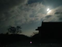 -南宁良凤江国家森林公园