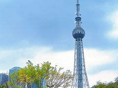 -文华公园(禅城区)