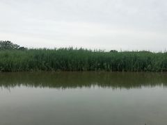 -同里国家湿地公园