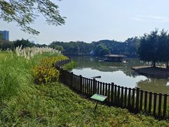-顺峰山公园