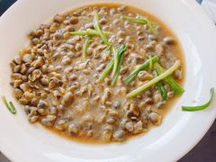 泥螺-西门岛码头海鲜馆