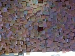 -白兔子密室(长寿路店)