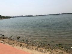 -丁香湖公园