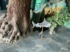 -东方巨龟苑景区